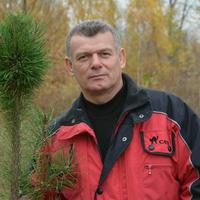 Отзыв от Анатолий - Виза Destination Thailand